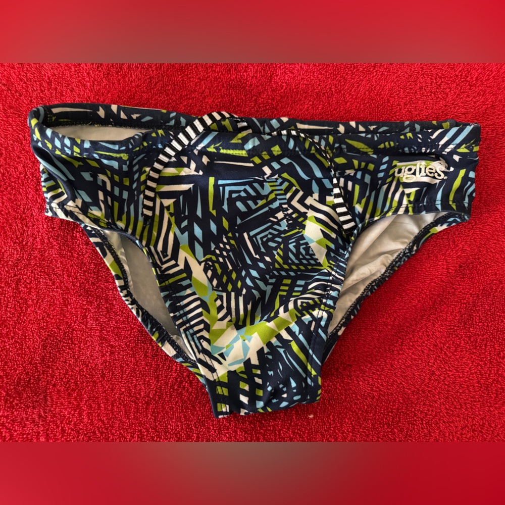 Dolfin Men's Geometric Swim Brief - Blue and Green